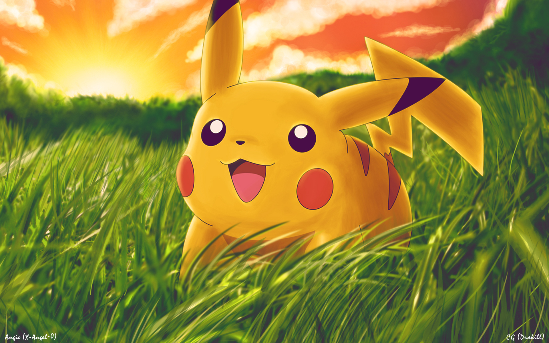Pikachu in the fields