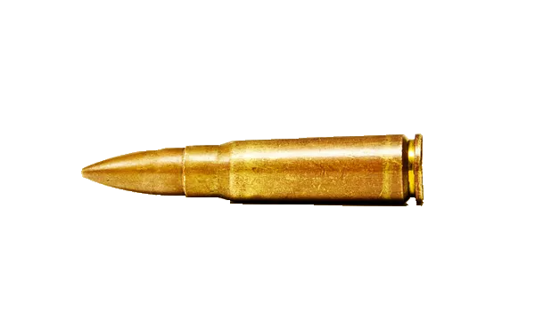 Bullet trata de matar a Chisato god